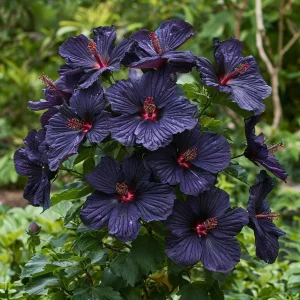 Гибискус Мэджик Момент купить по цене от 699р. в интернет-магазине «Посадика» с доставкой почтой в в Ковдоре и по всей России – [изображение №1].